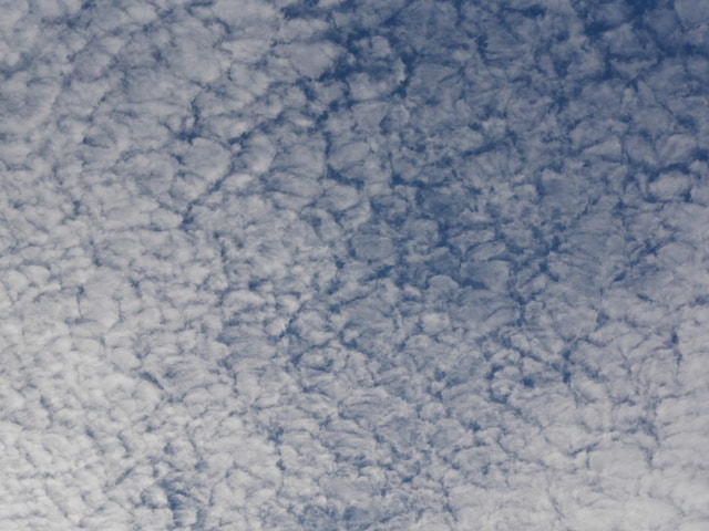 PXT00010869329101.jpg
